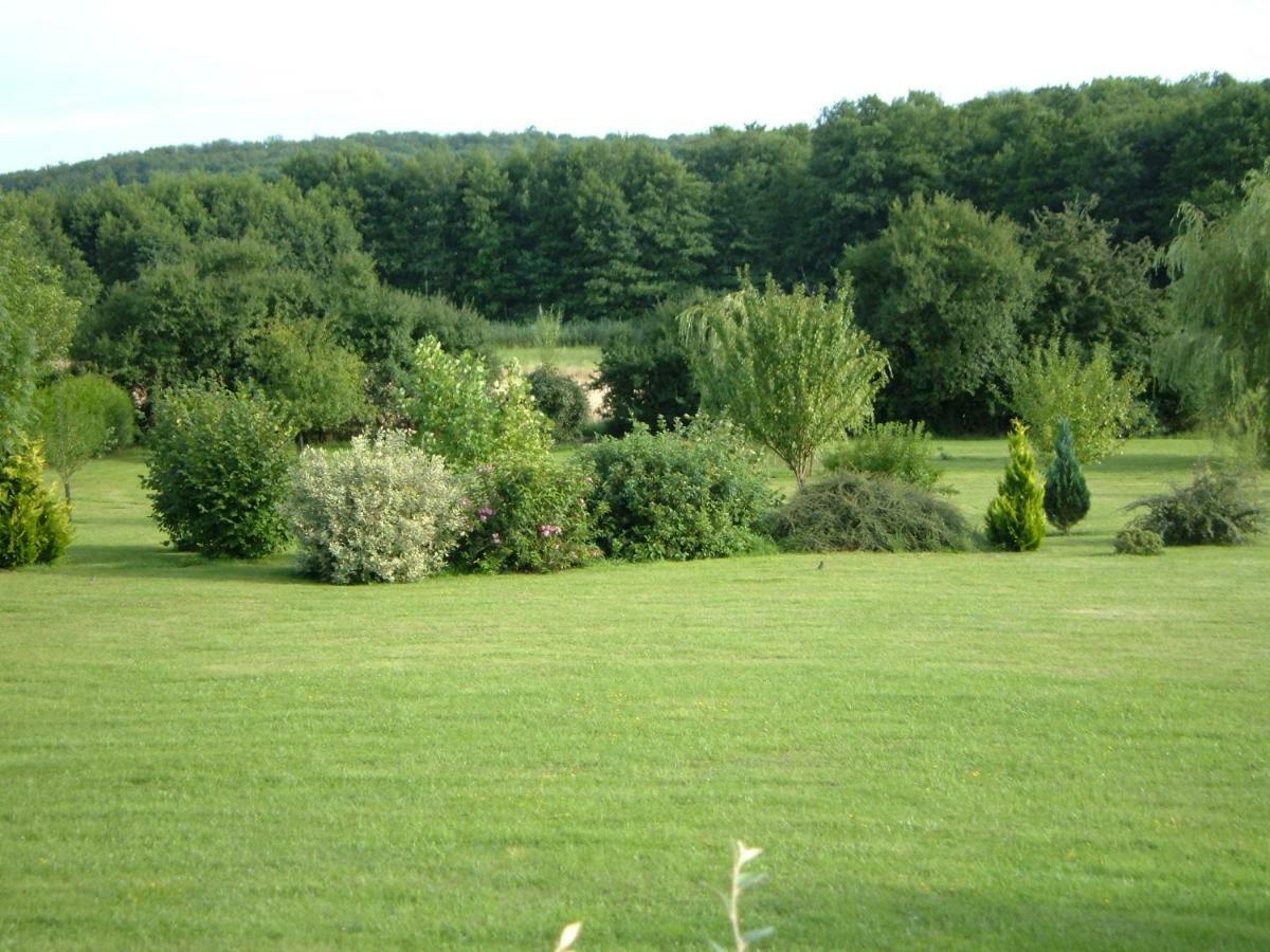 Vila Le Lansquenet Rorbach-les-Dieuze Exteriér fotografie
