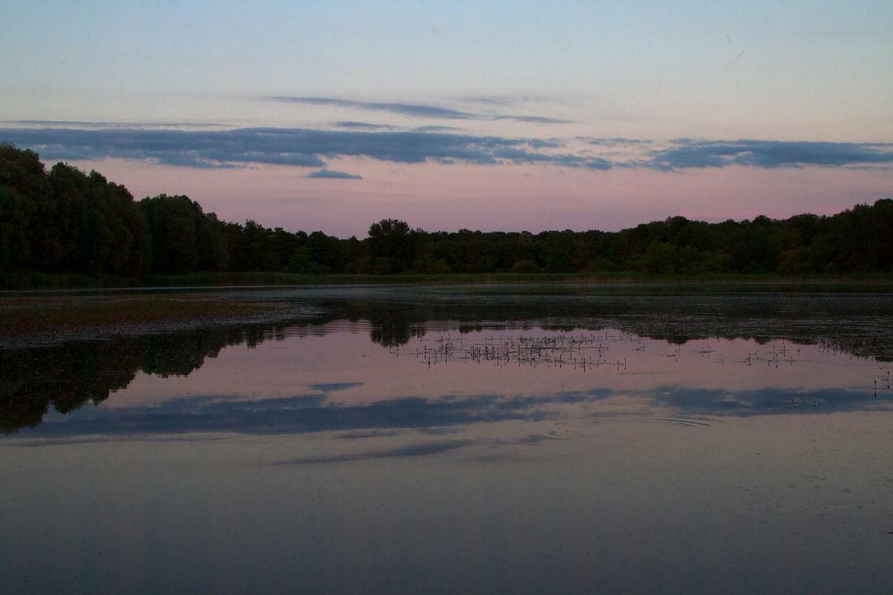 Vila Le Lansquenet Rorbach-les-Dieuze Exteriér fotografie